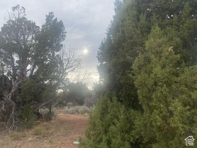 45711 W COLT RD #131, Fruitland, UT 84027