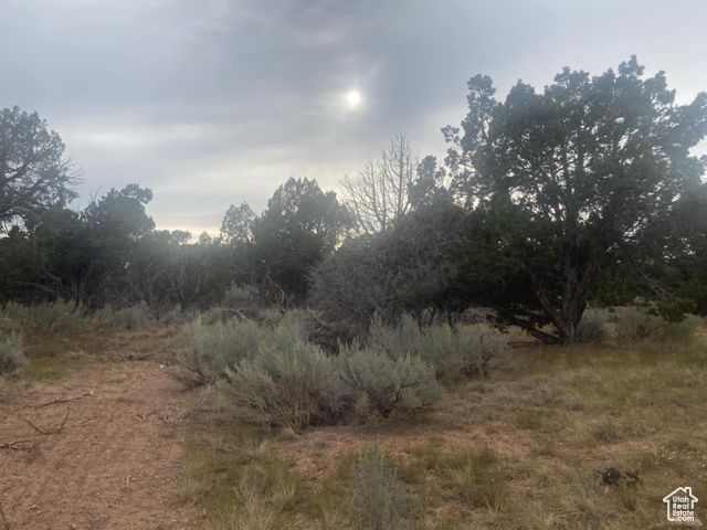 45711 W COLT RD #131, Fruitland, UT 84027