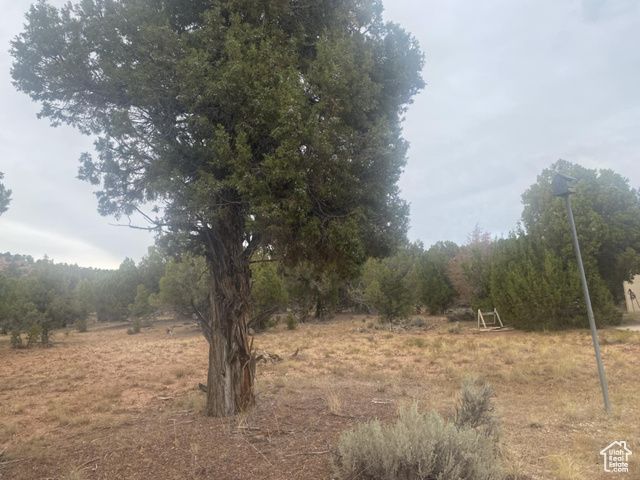 45711 W COLT RD #131, Fruitland, UT 84027