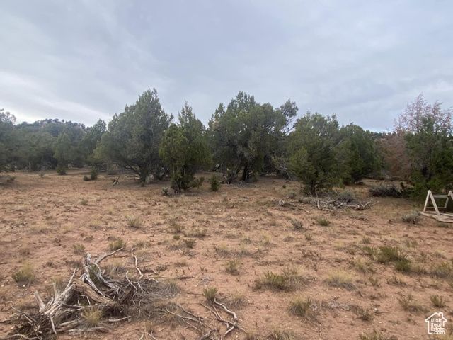 45711 W COLT RD #131, Fruitland, UT 84027