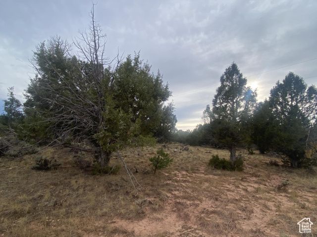 45711 W COLT RD #131, Fruitland, UT 84027