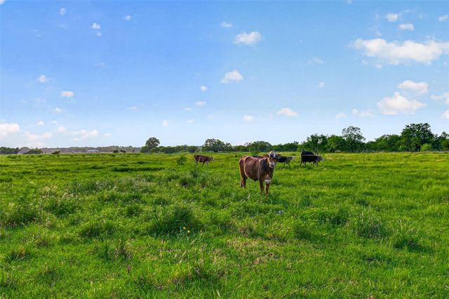 13506 Moody Road, Needville, TX 77461