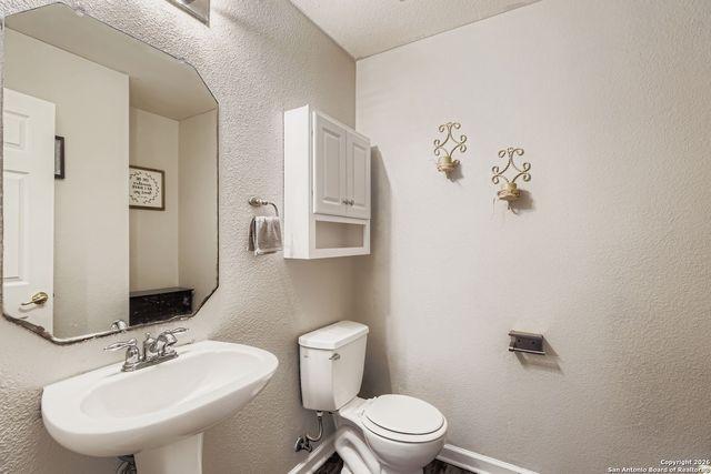 14310 Yellow Warbler, San Antonio, TX 78233