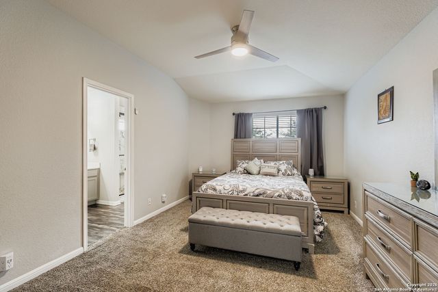 14310 Yellow Warbler, San Antonio, TX 78233