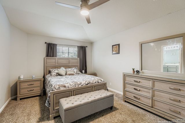 14310 Yellow Warbler, San Antonio, TX 78233