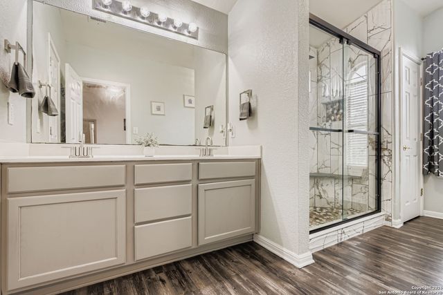 14310 Yellow Warbler, San Antonio, TX 78233