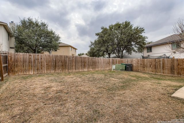 14310 Yellow Warbler, San Antonio, TX 78233