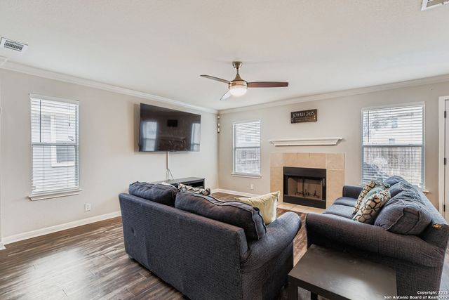 14310 Yellow Warbler, San Antonio, TX 78233