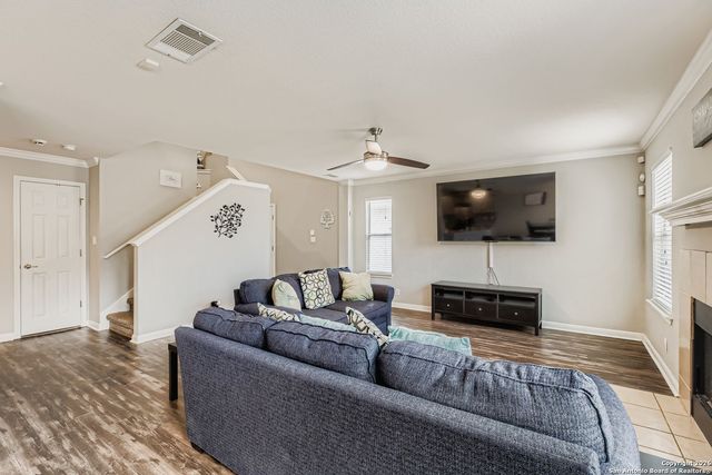 14310 Yellow Warbler, San Antonio, TX 78233