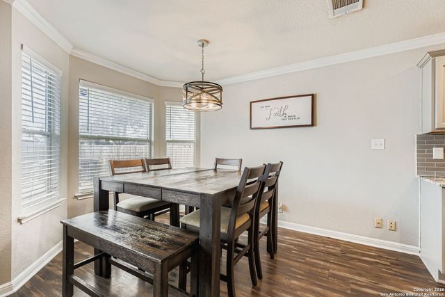 14310 Yellow Warbler, San Antonio, TX 78233