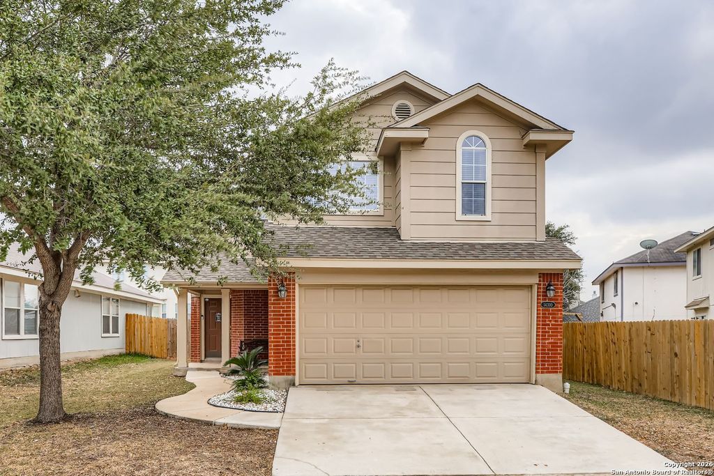 14310 Yellow Warbler, San Antonio, TX 78233