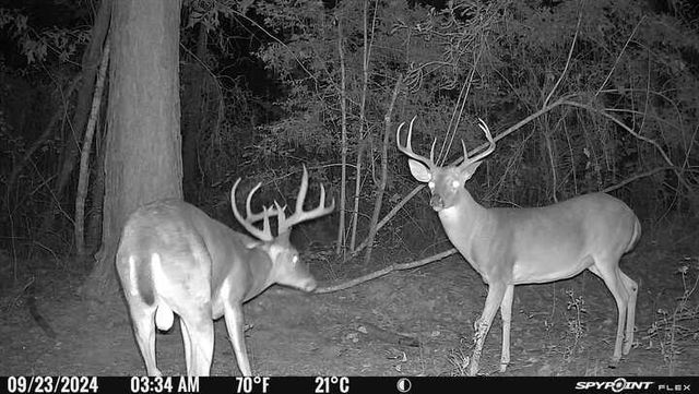 629 Parish Line Rd, Deridder, LA 70634