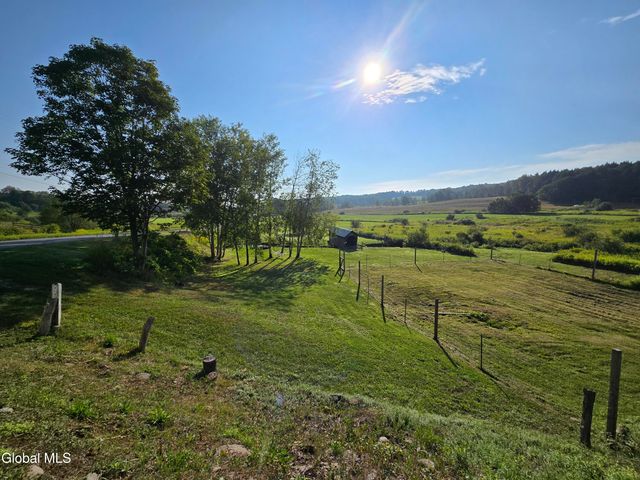 552 N Harpersfield Road, Jefferson, NY 12093