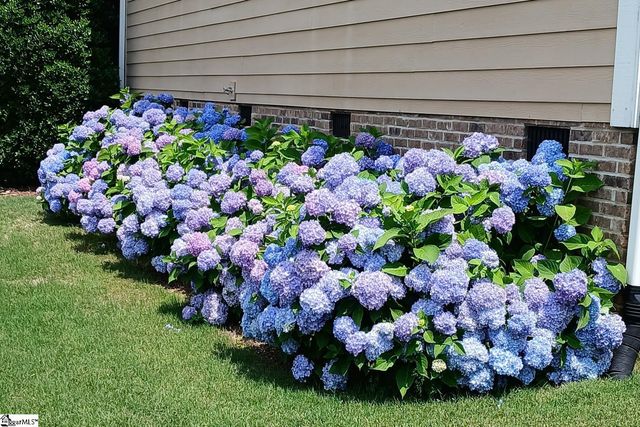 123 Elevation Court, Greer, SC 29651