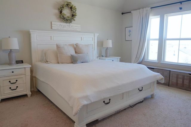 153 Blue Agate CT, Jarrell, TX 76537