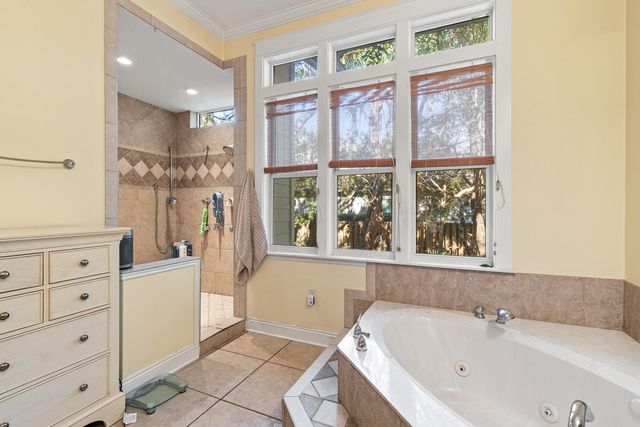 325 Botany Boulevard, Santa Rosa Beach, FL 32459