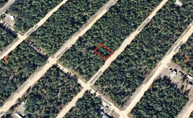 0 SHAPPELL Avenue, Interlachen, FL 32148