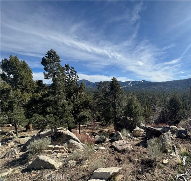 42535 Pegasus Way, Big Bear Lake, CA 92315