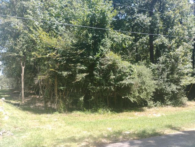 00 Magnolia Lane, Onalaska, TX 77360