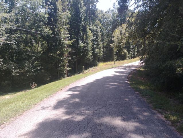 00 Magnolia Lane, Onalaska, TX 77360