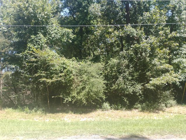00 Magnolia Lane, Onalaska, TX 77360