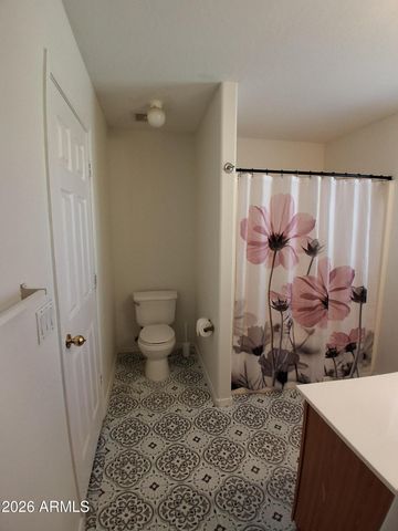4337 W IRWIN Road, Laveen, AZ 85339