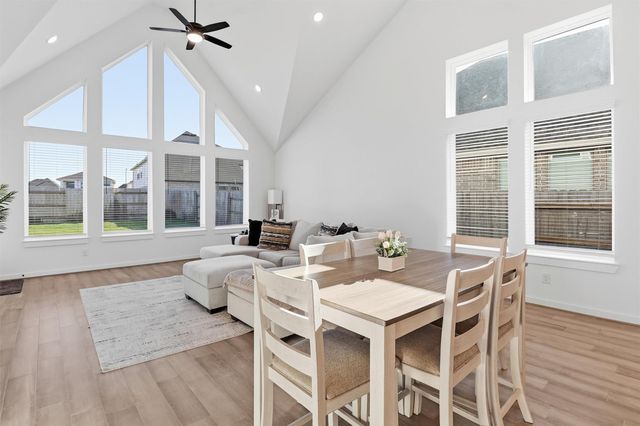 24922 Groundsel Cottage Lane, Katy, TX 77493