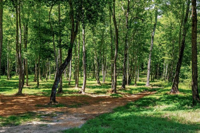 2097 Shellsford Rd, Mcminnville, TN 37110