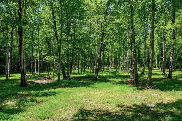 2097 Shellsford Rd, Mcminnville, TN 37110