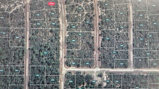 3138 ASTER AVENUE, Lake Placid, FL 33852