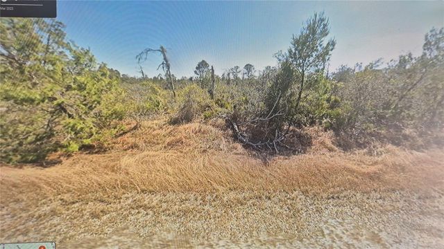 3138 ASTER AVENUE, Lake Placid, FL 33852