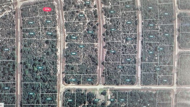 3138 ASTER AVENUE, Lake Placid, FL 33852