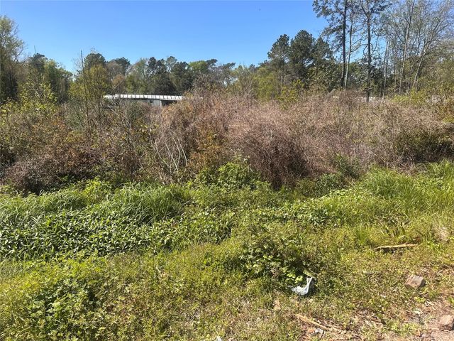 0 Dottie Lane, Shepherd, TX 77371