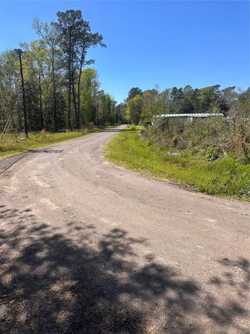 0 Dottie Lane, Shepherd, TX 77371