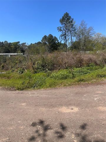 0 Dottie Lane, Shepherd, TX 77371