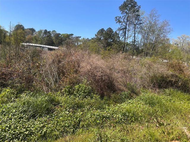 0 Dottie Lane, Shepherd, TX 77371