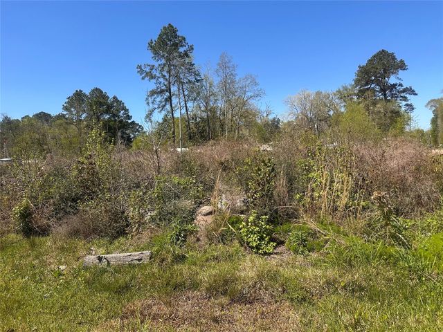 0 Dottie Lane, Shepherd, TX 77371