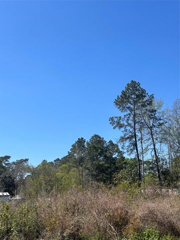 0 Dottie Lane, Shepherd, TX 77371