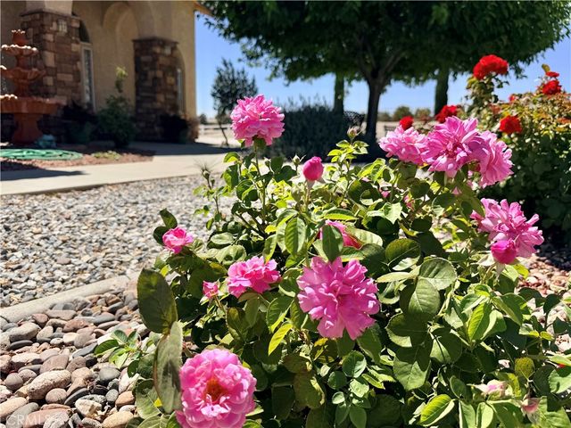 8535 Alta Mesa Road, Hesperia, CA 92344