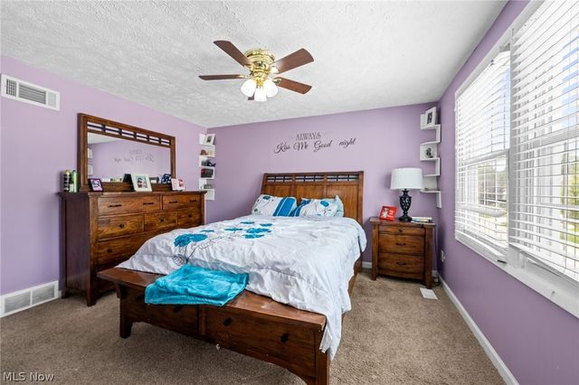 7390 Willow Run Drive, Mentor, OH 44060