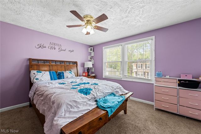 7390 Willow Run Drive, Mentor, OH 44060