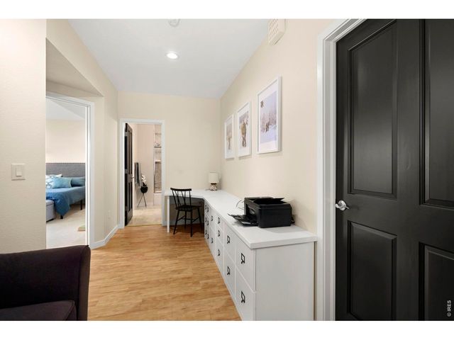 6482 Half Moon Bay Dr, Windsor, CO 80550