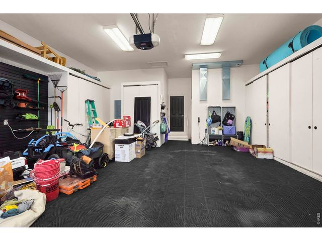 6482 Half Moon Bay Dr, Windsor, CO 80550