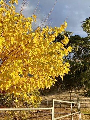 15653 Hwy 108, Jamestown, CA 95327