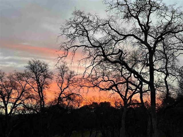 15653 Hwy 108, Jamestown, CA 95327