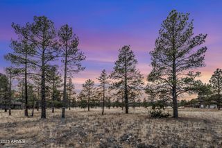 3353 N CAZADERO Trail 14, Flagstaff, AZ 86001