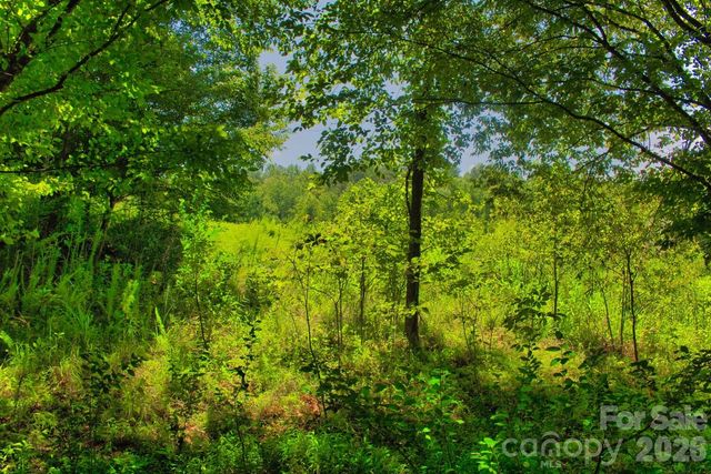 0 Clearwater Parkway 238, Rutherfordton, NC 28139