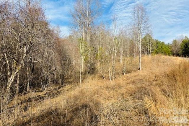 0 Clearwater Parkway 238, Rutherfordton, NC 28139