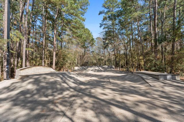 6 Orchard Dale Circle, The Woodlands, TX 77382