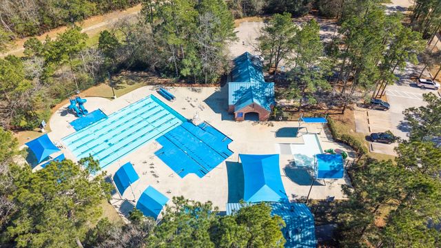 6 Orchard Dale Circle, The Woodlands, TX 77382